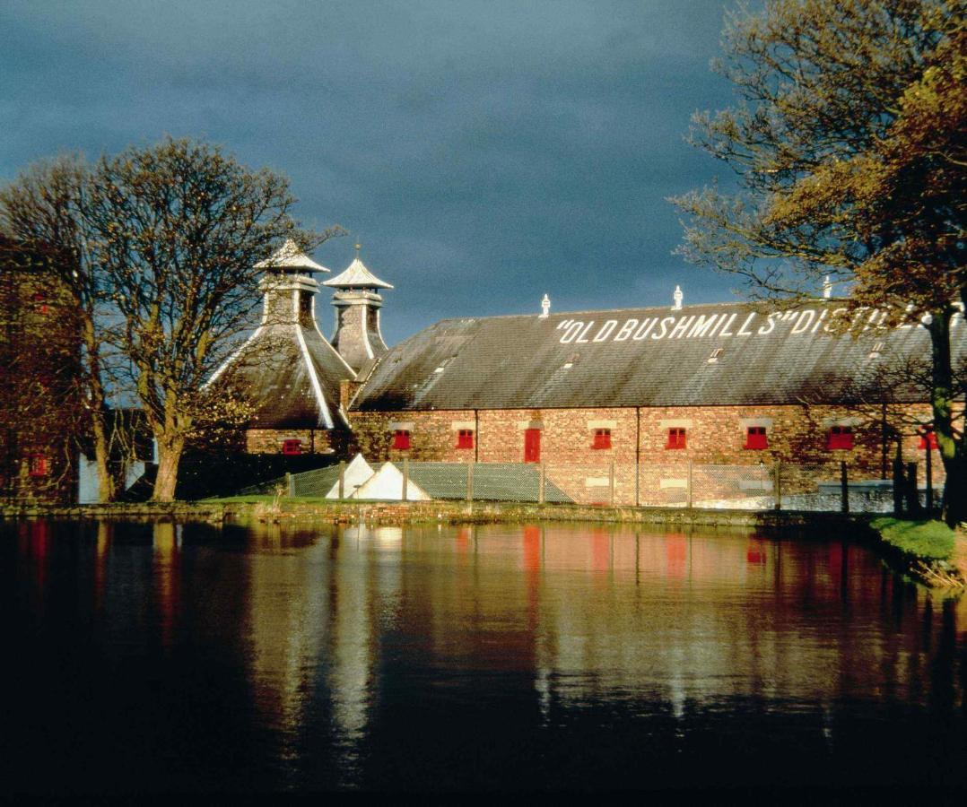 Braeside B&B Bushmills Eksteriør billede